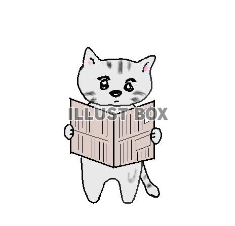 ねこまる・・新聞を読む【透過】PNG