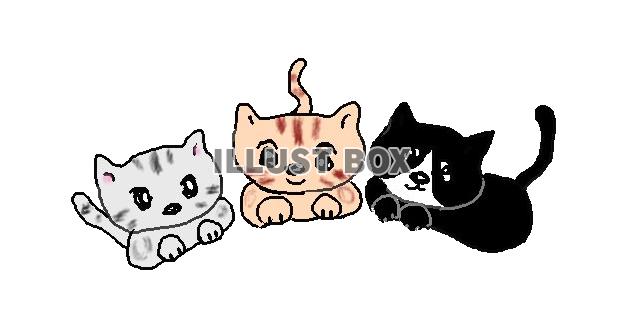 ねこまる・・・ニャン・ニャン・ニャン　猫の日【透過】PNG