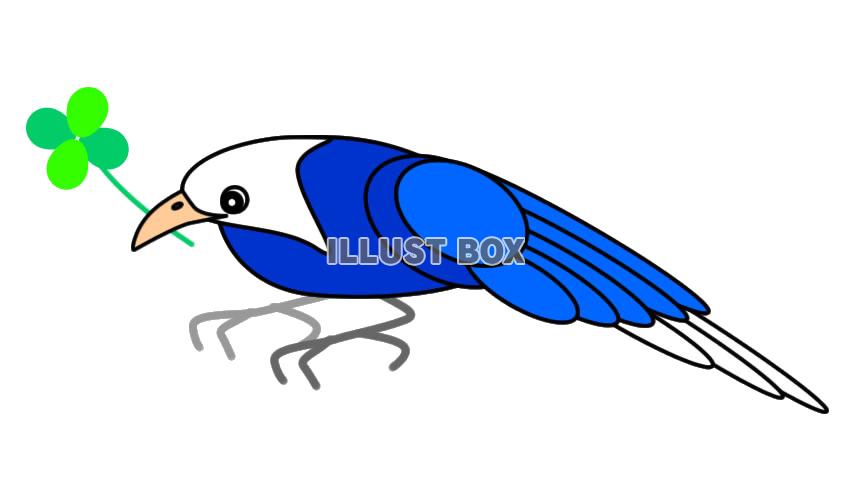 【透過png】青い鳥と四つ葉のクローバー10