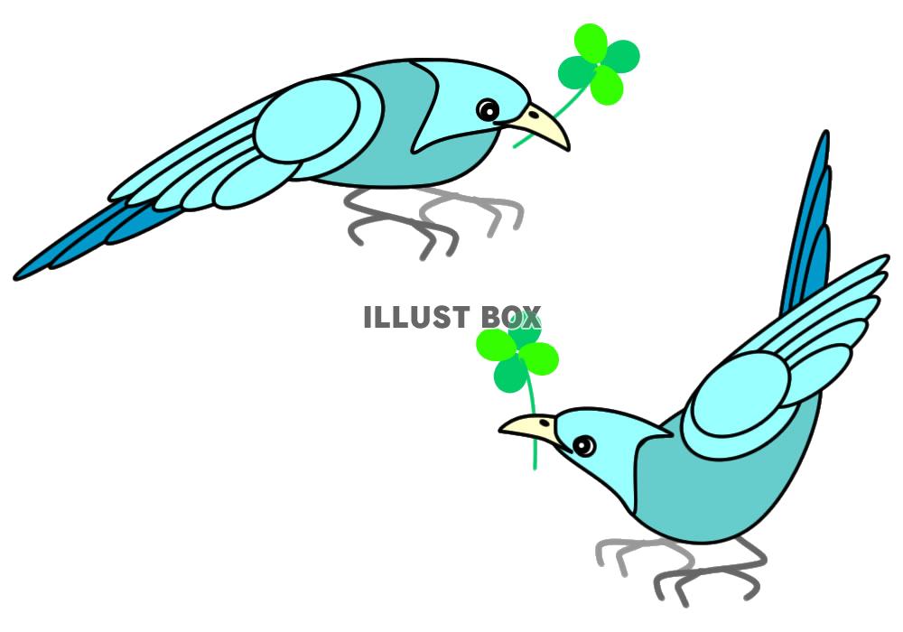 【透過png】青い鳥と四つ葉のクローバー8