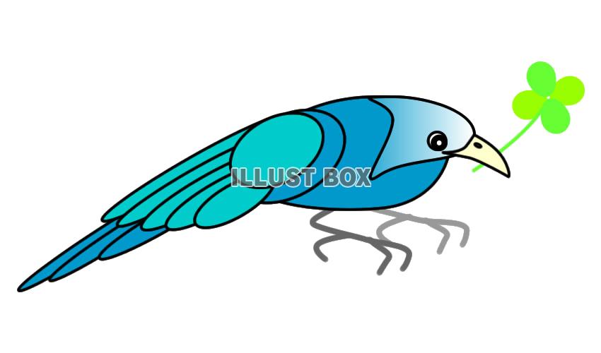 【透過png】青い鳥と四つ葉のクローバー6