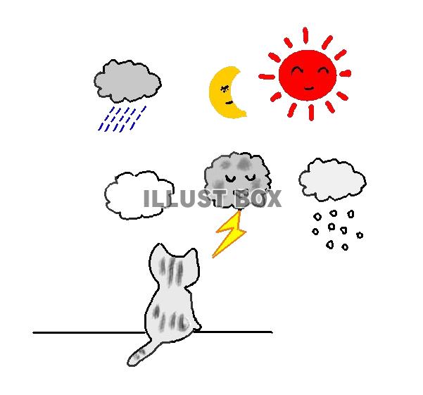 無料イラスト ねこまる 明日の天気が気になる 透過 Png