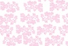 桜のイラストのピンクの壁紙