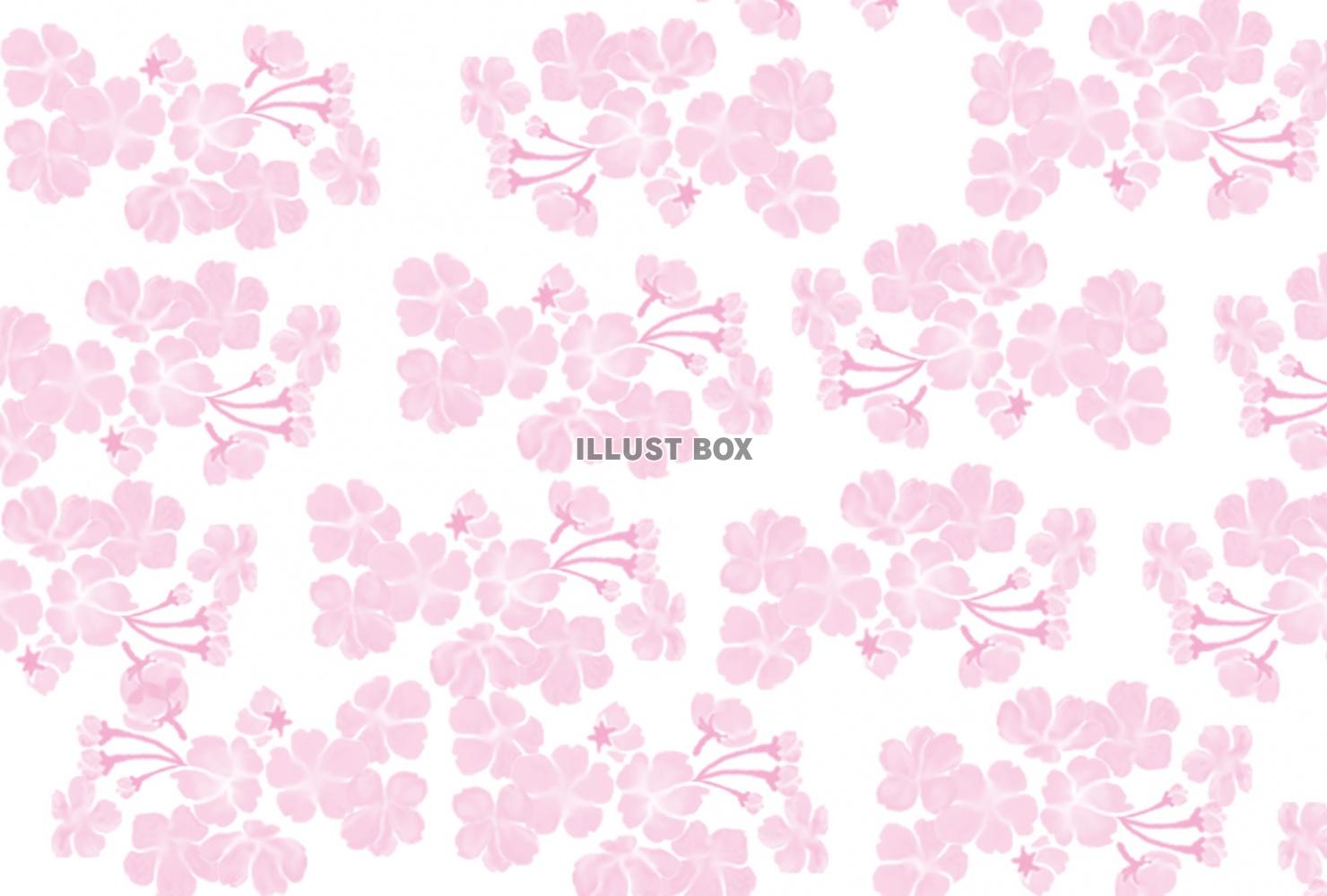 無料イラスト 桜のイラストのピンクの壁紙