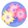 三色の桜（透過PNG）