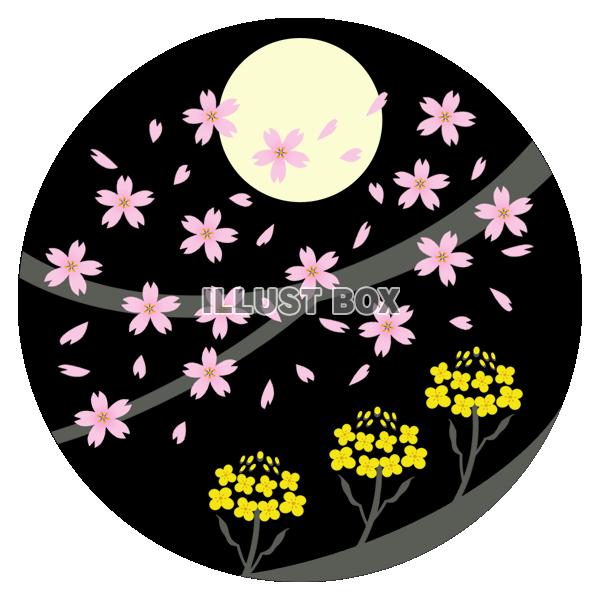 （透過PNG）月夜の花見