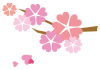 桜（さくら）