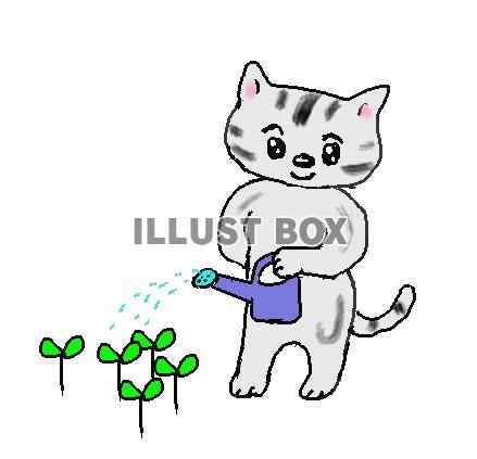 ねこまる・・・植物を育てる【透過】PNG