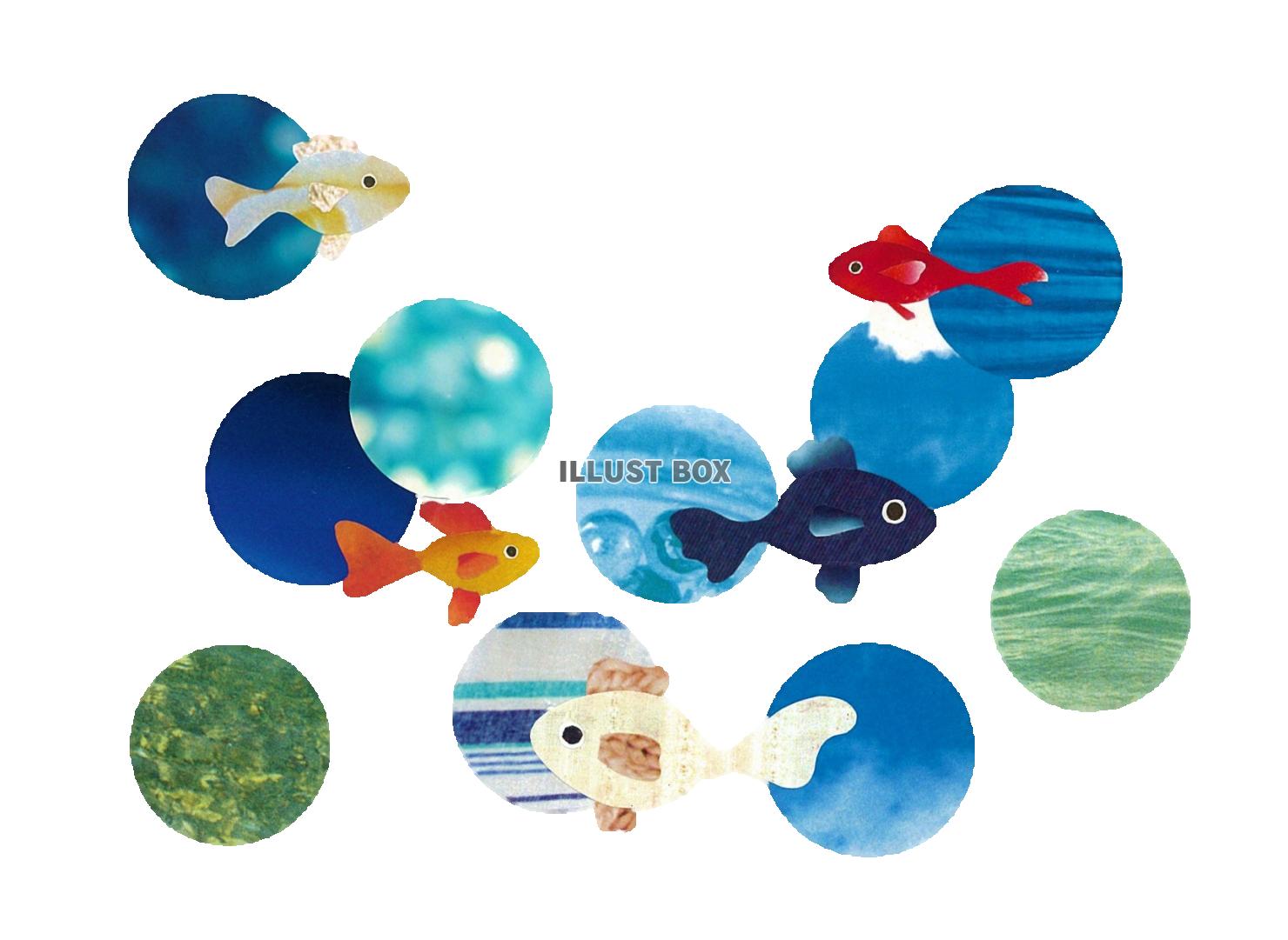 GOLD FISH　透過PNG