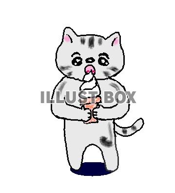 ねこまる・・・ソフトクリームを食べます【透過】PNG