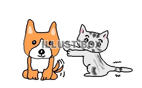 ねこまる・・・犬に近づく【透過】PNG