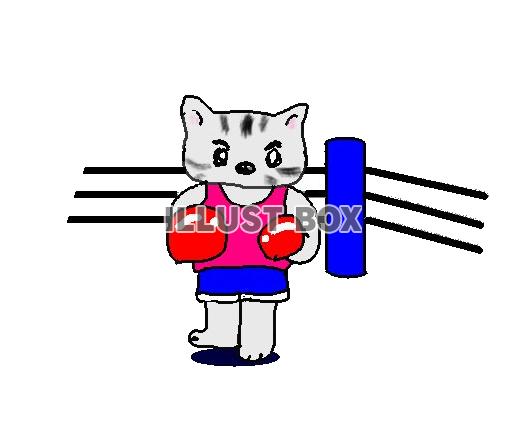 ねこまる・・・ボクシングに挑戦【透過】PNG