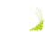 クローバーとシロツメクサ【透過PNG】