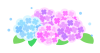 あじさいの花イラスト