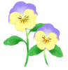 パンジーの花（透過PNG）