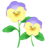 パンジーの花（透過PNG）