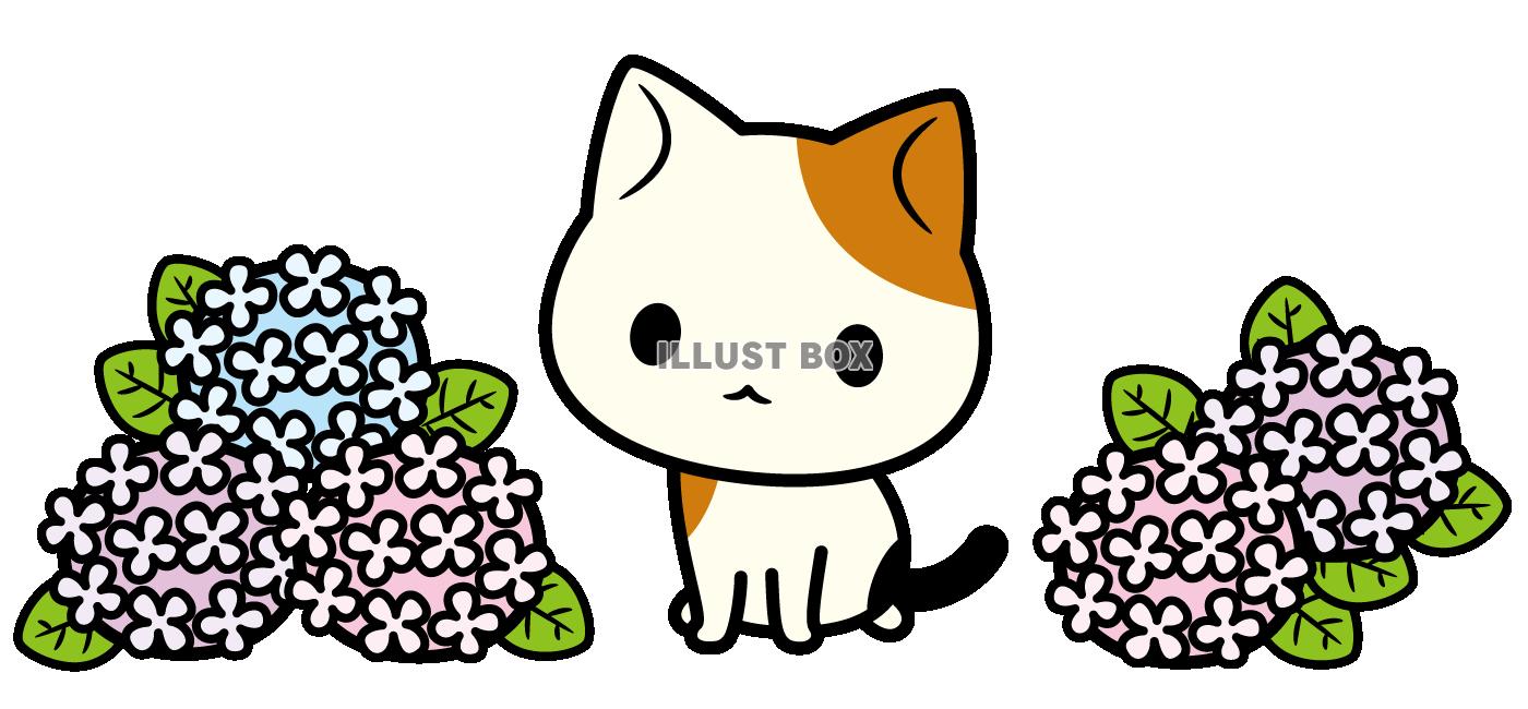 無料イラスト 猫と紫陽花