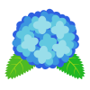 紫陽花のイラスト（青紫）　(透過PNG)