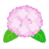 紫陽花のイラスト（赤紫）　(透過PNG)