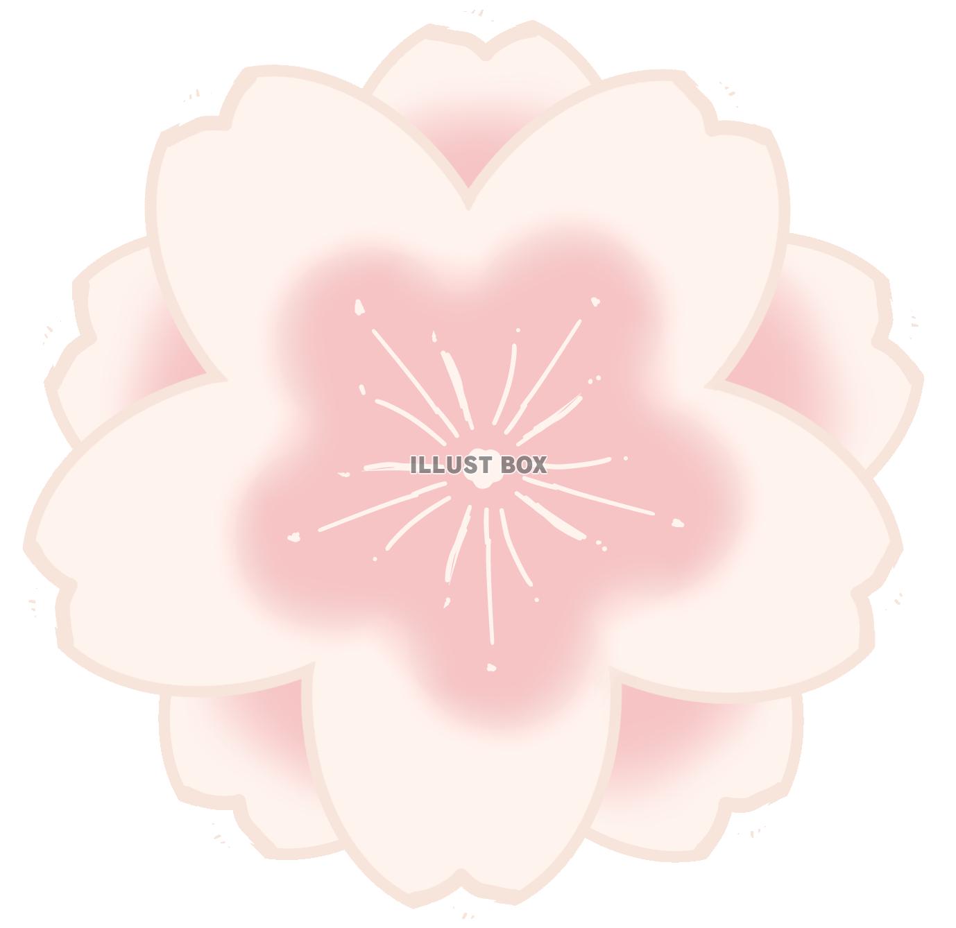 【透過png】桜１