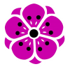 【透過png】桜５