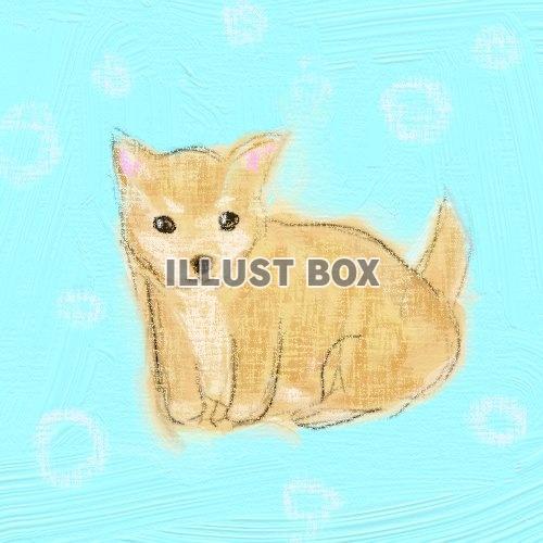 無料イラスト 柴犬の子犬