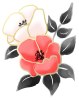 【透過png】水墨画風の花