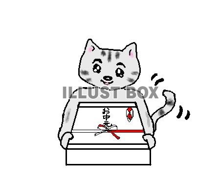 ねこまるのお中元【透過】PNG