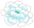 【透過png】和柄素材の花５