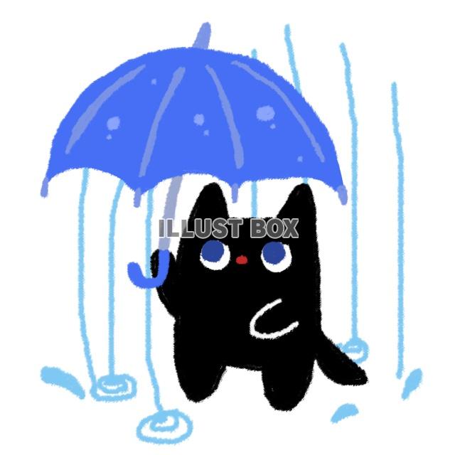 雨降り黒猫