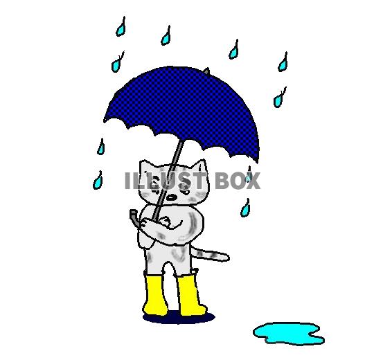 無料イラスト ねこまる 雨の日は嫌い 透過 Png