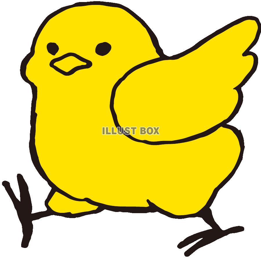 小鳥シリーズ・黄色いヒヨコ02