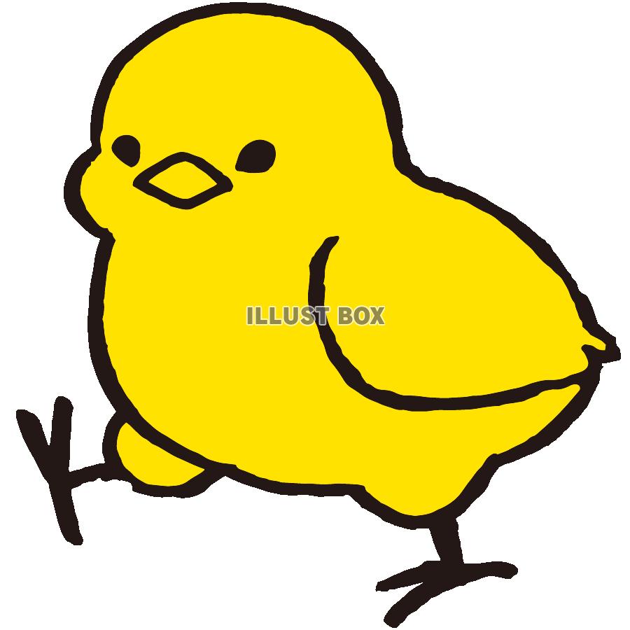 小鳥シリーズ・黄色いヒヨコ03