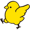 小鳥シリーズ・黄色いヒヨコ04