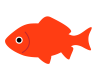 金魚のイラスト1　(透過PNG)