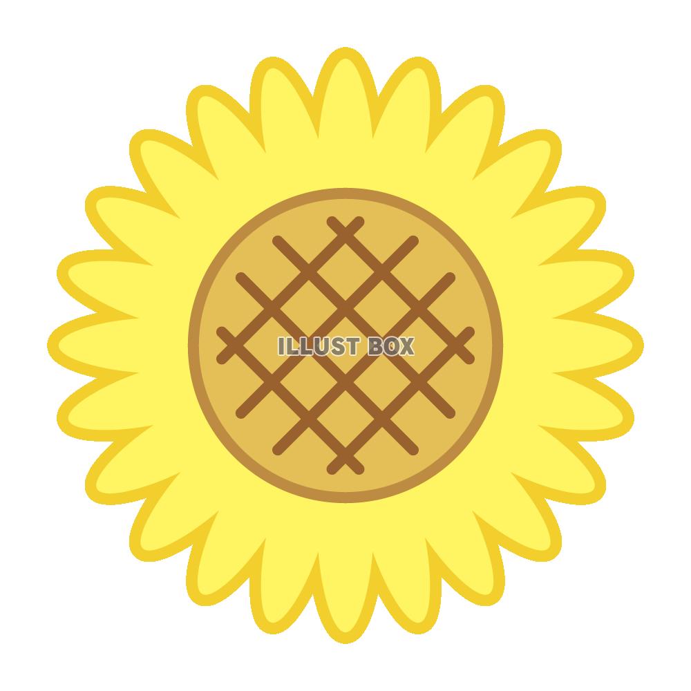 ヒマワリのイラスト　(透過PNG)