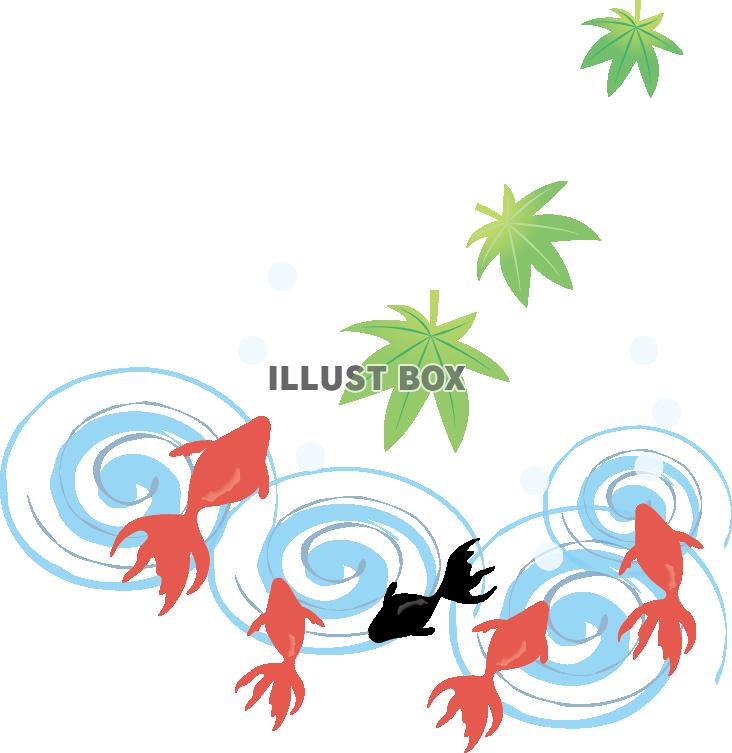 金魚