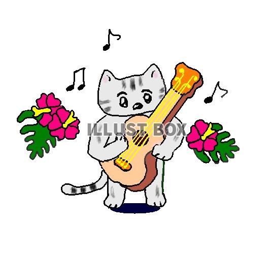 ねこまる・・ハワイの音楽にはまる【透過】PNG