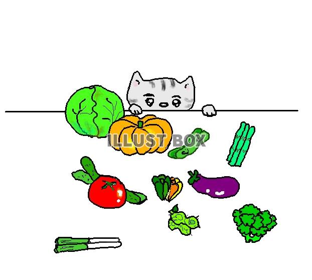 ねこまる・・・苦手な野菜【透過】PNG