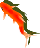 金魚3