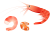 甘エビ（eps・png）