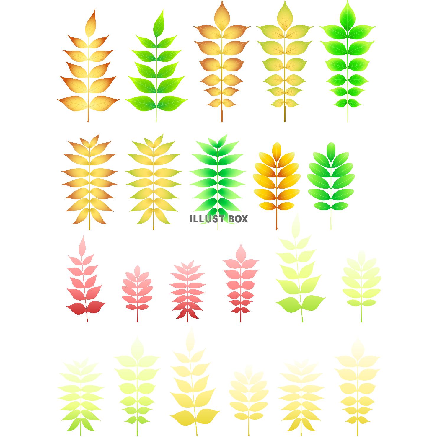植物の葉アイコンセット（png・CS4eps）