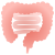 小腸・大腸（png・CSeps）