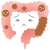 便秘気味の小腸・大腸（png・CSeps）