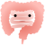 通常の小腸・大腸（png・CSeps）
