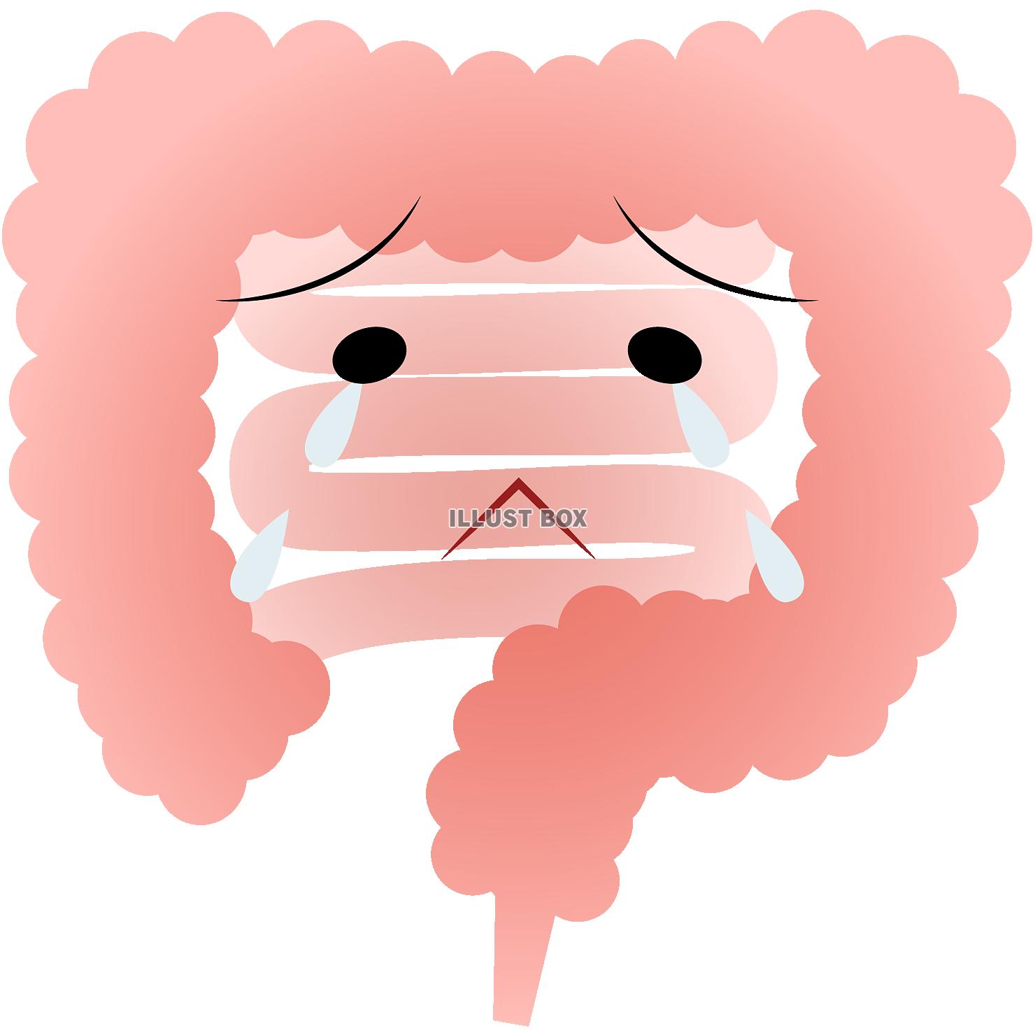 環境が良くない小腸・大腸（png・CSeps）