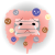 悪環境の小腸・大腸（png・CSeps）