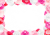 リアルなバラのフレーム（png・CS4eps）
