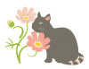 猫とコスモス　透過ＰＮＧ