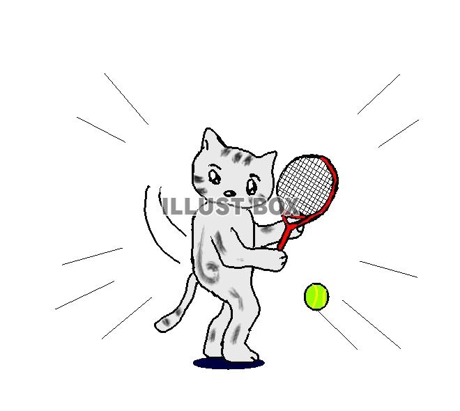 ねこまる・・・テニスをやる【透過】PNG